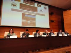 HOY, EN LA INAUGURACIÓN DEL CONGRESO INTERNACIONAL DEL OLIVAR Y EL ACEITE DE OLIVA, EN JAÉN