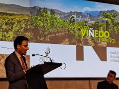 En la jornada “El Paisaje del Viñedo Español”, celebrada en Madrid