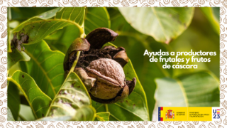 El Ministerio de Agricultura, Pesca y Alimentación publica la lista definitiva