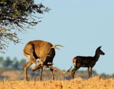 Hoy y mañana en Postonja (Eslovenia)    
