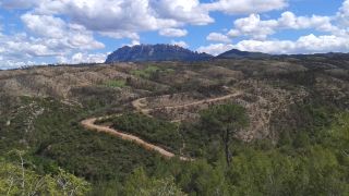 Tras el incendio del pasado 30 de julio
