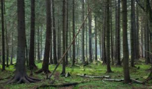 HOY, EN CONSEJO DE MINISTROS