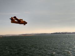 En apoyo de la Comunidad Autónoma 