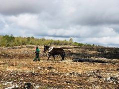 EL INCENDIO OCURRIÓ EN AGOSTO DE 2017 