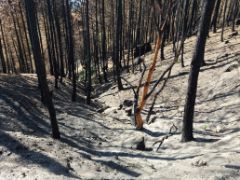 HOY, EN EL CONSEJO DE MINISTROS 