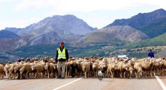 En el Comité Científico Asesor del SIPAM 