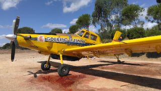 PARA LAS CAMPAÑAS DE VERANO  2020  Y  2021 