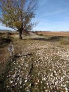 DISCURRE POR LA PLATAFORMA DE LA ANTIGUA LÍNEA DEL FERROCARRIL SANTANDER-MEDITERRÁNEO