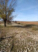 Como consecuencia de los efectos producidos por la Depresión Aislada de Niveles Altos (DANA) 