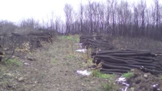 El Consejo de Ministros ratifica la declaración de emergencia de las obras 