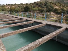 Con fondos del Plan de Recuperación, Transformación y Resiliencia