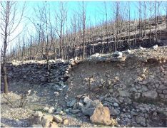 Hoy, en Consejo de Ministros 