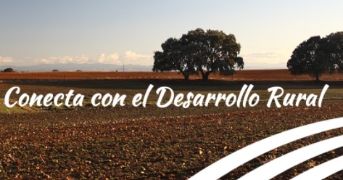 Encuesta de la Red Rural Nacional (RRN) 