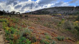 SE PRODUJO EN OCTUBRE DEL PASADO AÑO 