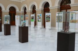 EN UNA EXPOSICIÓN ENMARCADA EN LAS ACTIVIDADES DE LA SEMANA DE LA ADMINISTRACIÓN ABIERTA 