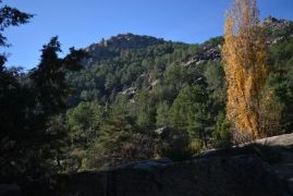 CONSEJO DE MINISTROS 