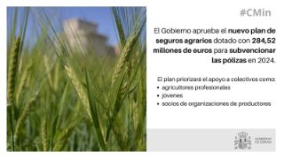 Hoy, en Consejo de Ministros