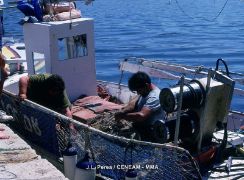 En reunión por videoconferencia 
