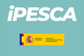 El próximo sábado, 5 de septiembre
