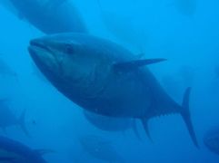 HOY, EN EL CONSEJO DE MINISTROS 