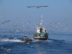 LA UNIÓN EUROPEA JUEGA UN PAPEL DE LIDERAZGO A NIVEL MUNDIAL 