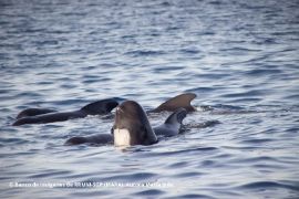 Espacio protegido gestionado por el Ministerio de Agricultura, Pesca y Alimentación 