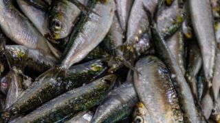 Mediante resoluciones publicadas hoy en  BOE