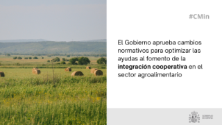 Hoy, en Consejo de Ministros