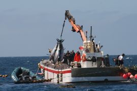 Permitirá el reparto de 2,9 millones de kilos no utilizados