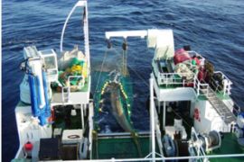 Ha llegado hoy al puerto de Vigo 