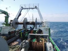 Hoy, en el Boletín Oficial del Estado