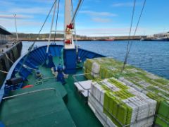 Hoy, en el Boletín Oficial del Estado 