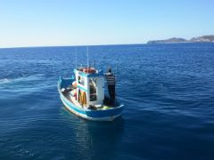 Hoy, en Consejo de Ministros