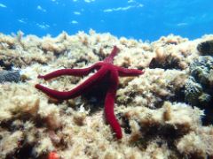 El aniversario es el sábado 7 de septiembre