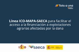 Desde hoy y hasta el 1 de septiembre de 2026