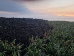 Abierto el proceso de consulta pública de la orden desde mañana, día 29, hasta el 8 de noviembre