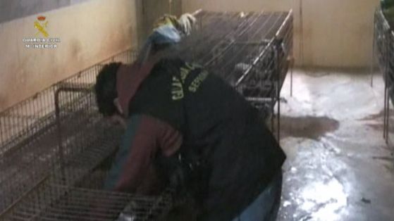 Operación Narixa 03