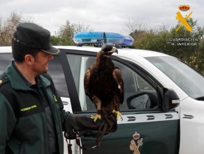 Operación Thunderbird llevada a cabo por el SEPRONA de la Guardia Civil, coordinada por INTERPOL, durante los días 17 al 30 de febrero del año en...