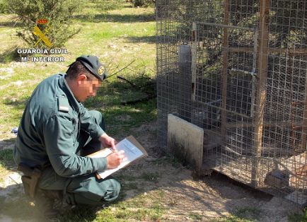 Operación ‘ANTITOX’: Operación enmarcada en el ‘Plan de lucha contra el uso ilegal de veneno denominado Antitox’. La Guardia Civil ha culminado...