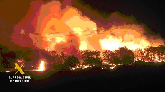 El SEPRONA de la Guardia Civil fruto de la investigación llevada a cabo desde el pasado 15 de octubre, fecha en la que se originó un incendio que...