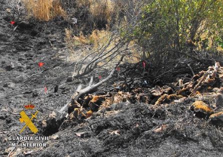 El SEPRONA de la Guardia Civil fruto de la investigación llevada a cabo desde el pasado 15 de octubre, fecha en la que se originó un incendio que...