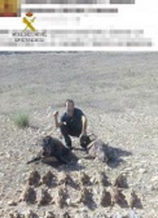 El SEPRONA de la Guardia Civil denuncia a cinco personas por la caza ilegal de hembras y crías de jabalí, como resultado de la investigación...