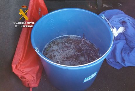El Servicio de Protección de la Naturaleza (SEPRONA) de la Guardia Civil, ha finalizado la denominada operación “Allevamen” contra la pesca...