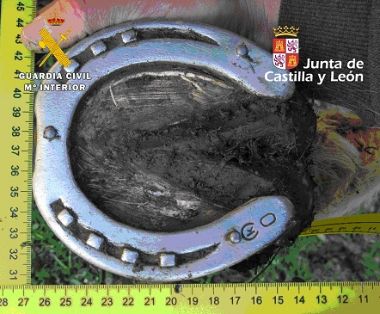 El SEPRONA de la Guardia Civil investiga a un ganadero y a su hijo menor por un delito de incendio forestal, en el que ardieron 16 hectáreas de...