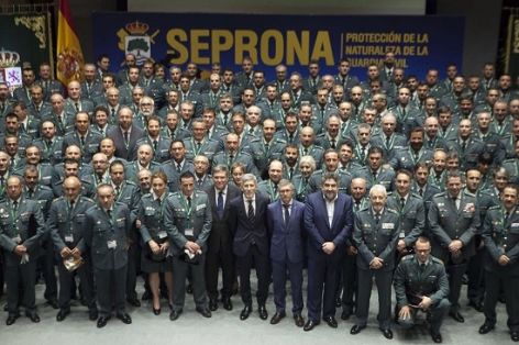 El Ministro del Interior ha presidido el 30º Aniversario de la creación del SEPRONA de la Guardia Civil. Durante este acto, Grande-Marlaska ha...