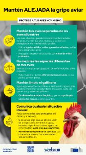 nbf-campaign-toolkit-infographic-protect-birds-today-26-es