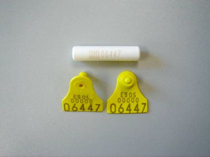 Minibolo y crotales Cromasa