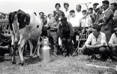 Demostración de ordeño mecánico .Torrelavega (Santander ) 1959 Autor: Feijoo