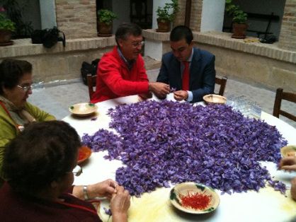 &#169; Francisco Martínez