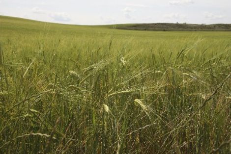 &#169; JoaquinTerán 